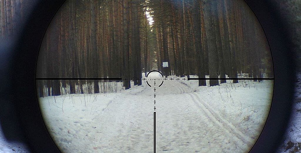 FSB Focuses Crosshairs on Russian Exiles